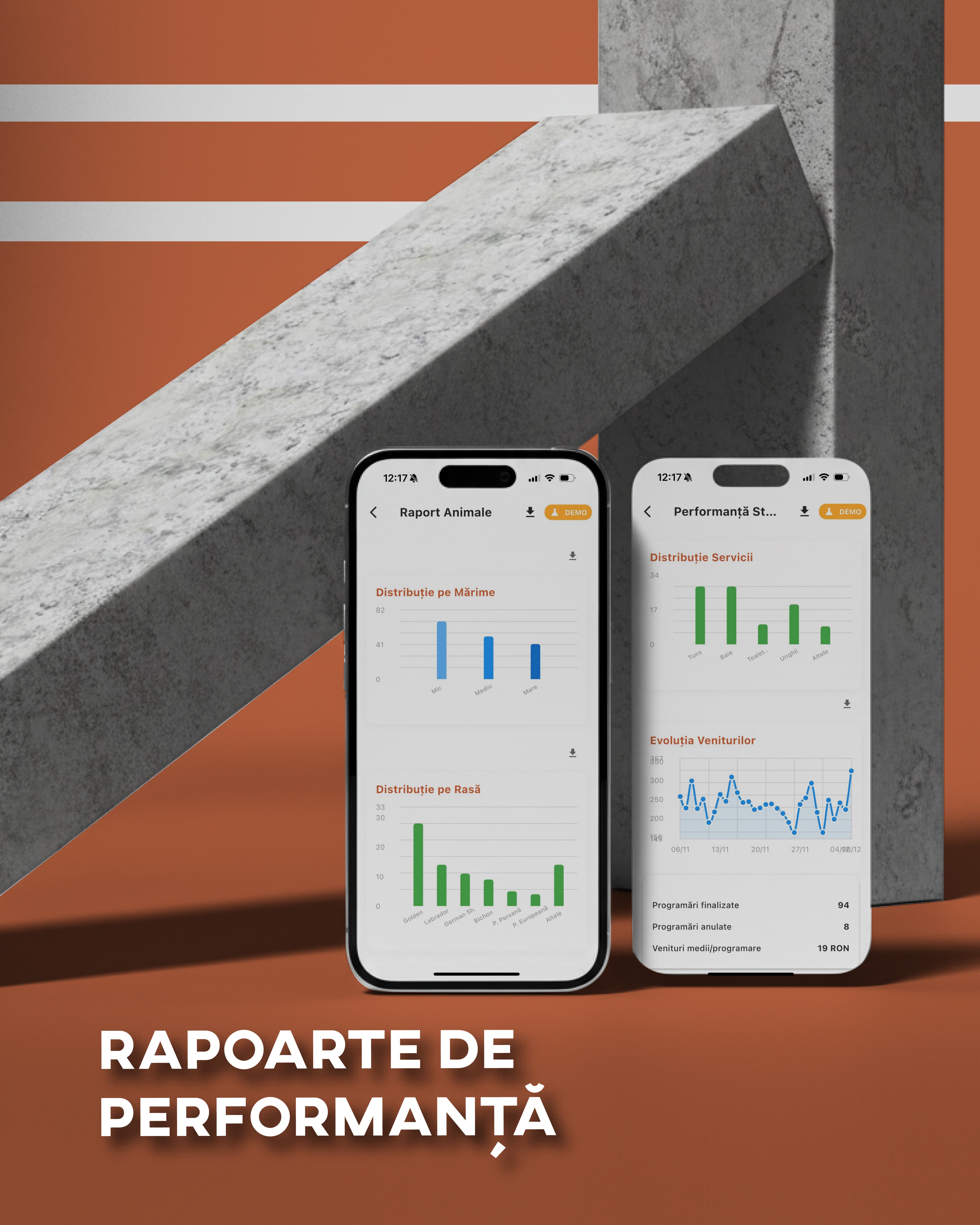 Rapoarte & Statistici
