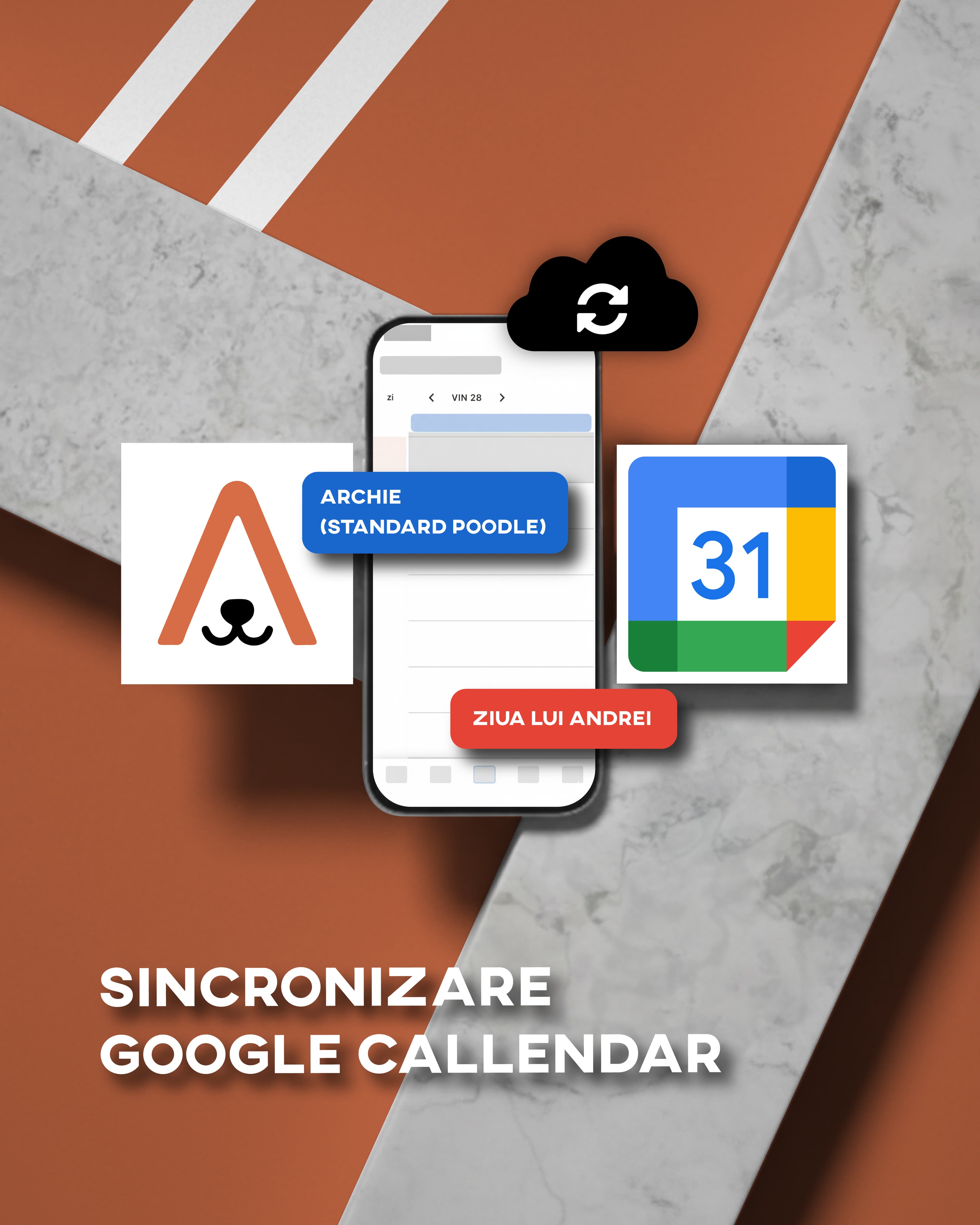 Google Calendar Sync