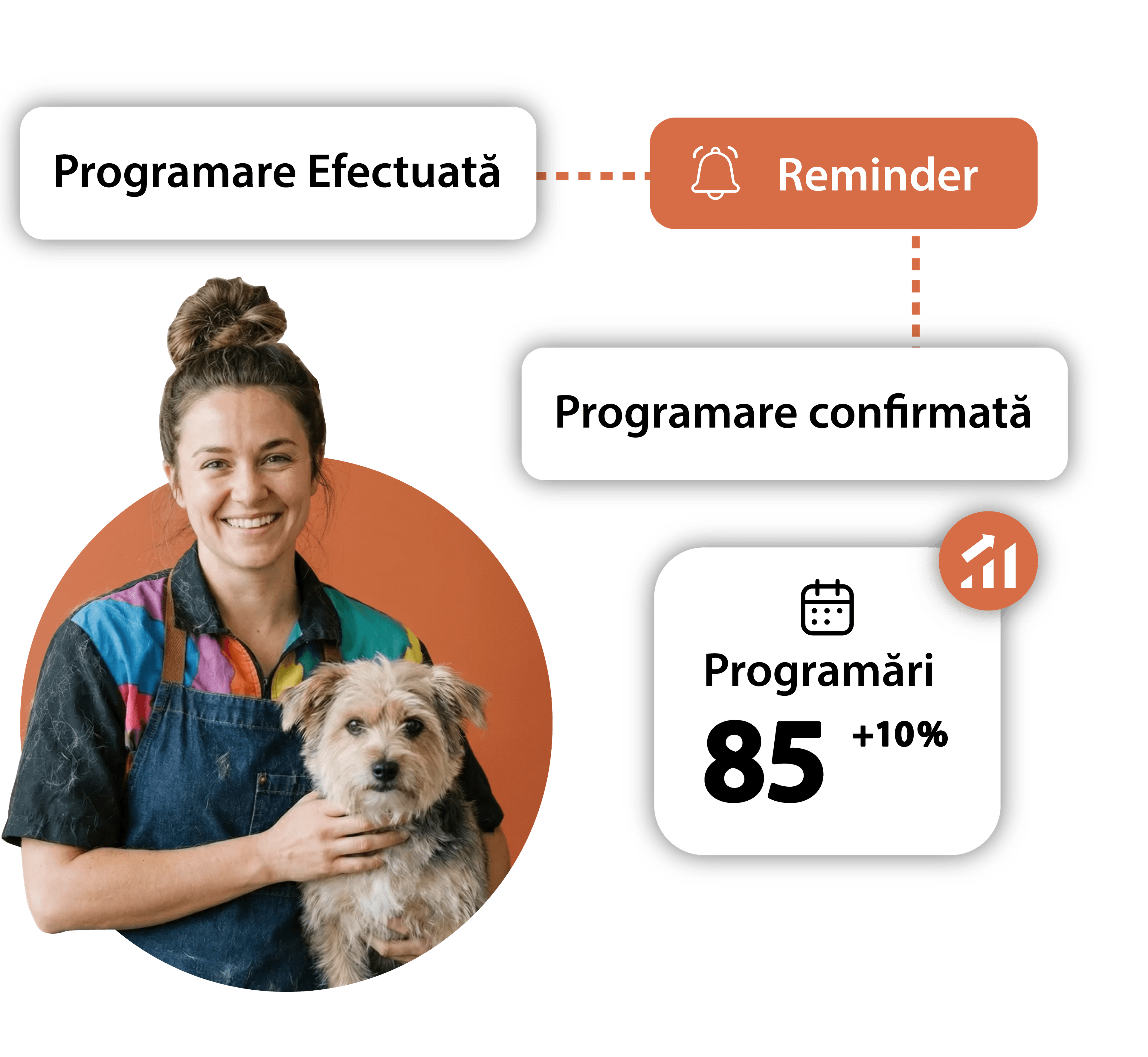 Mesaje automate programate