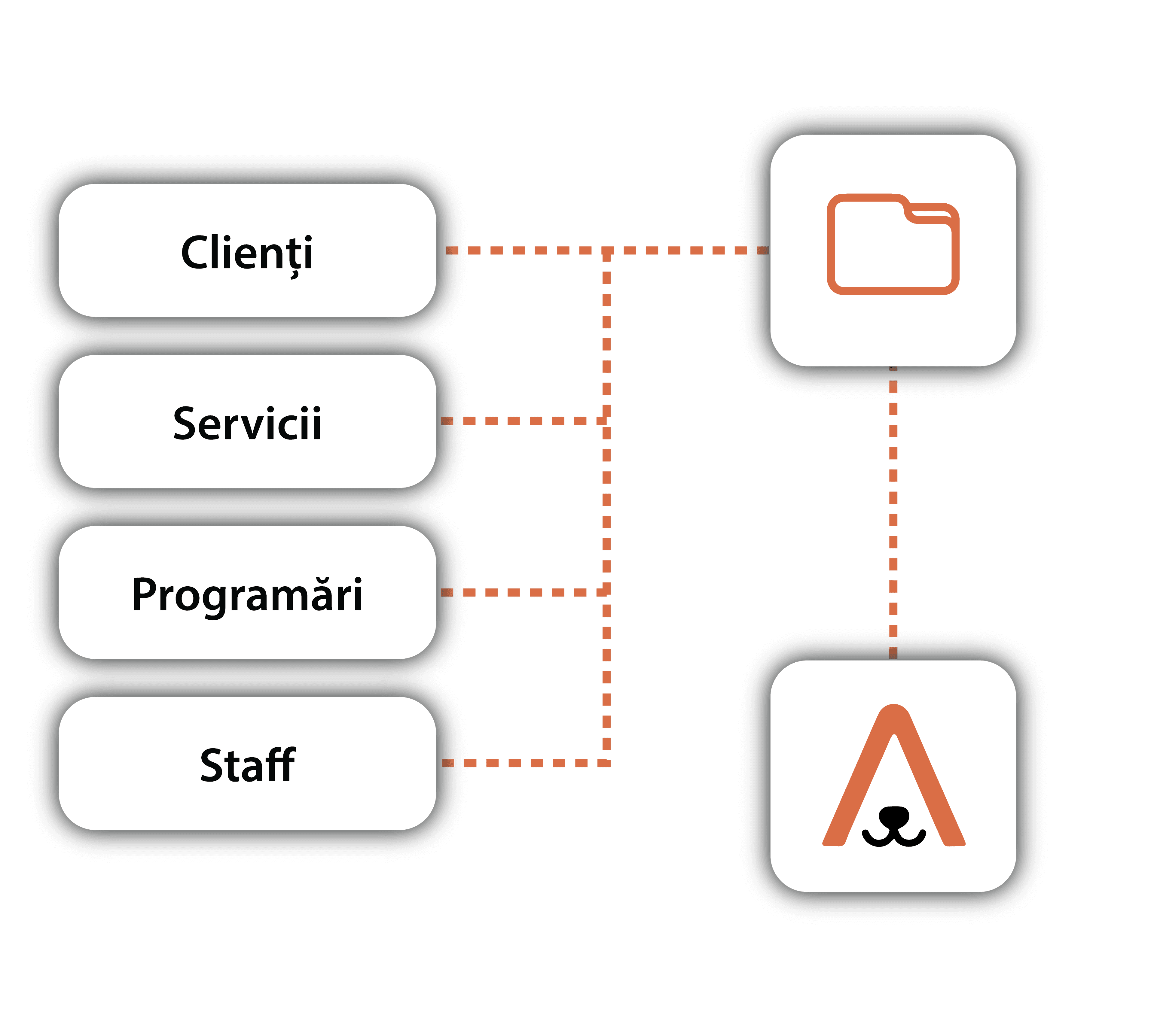 Data transfer: clients, services, appointments, staff