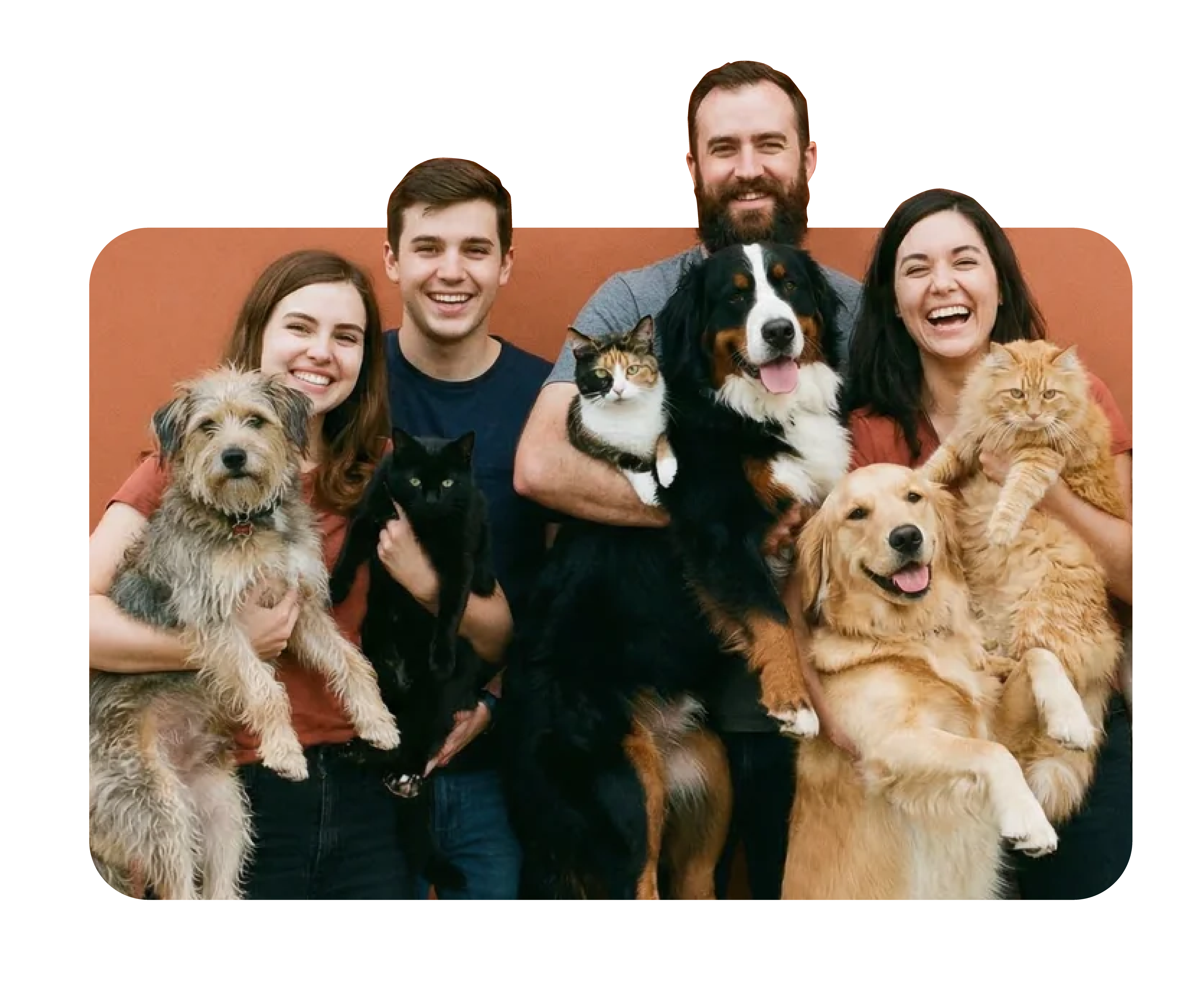 Echipa și animalele de companie fericite