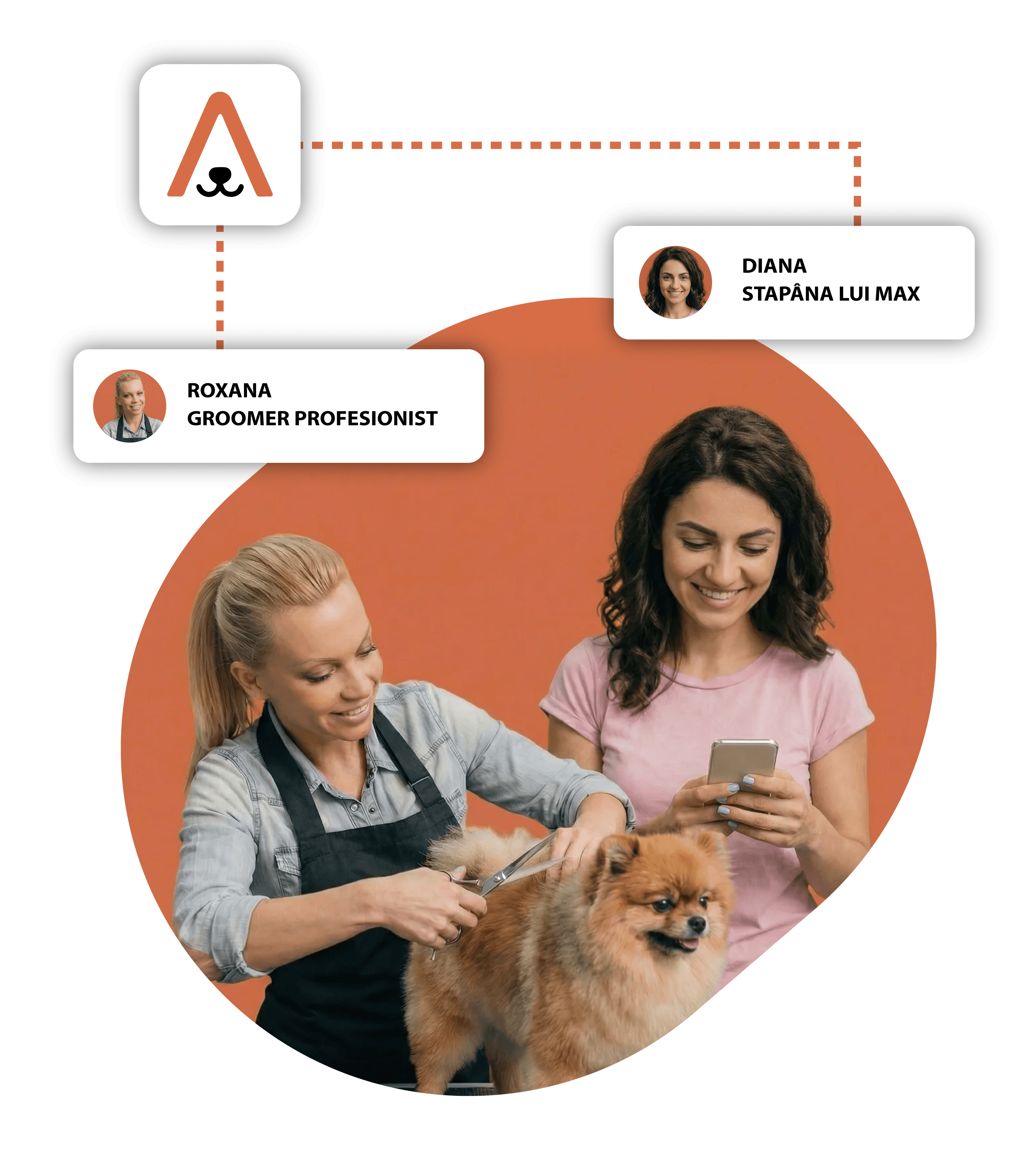 Programări online pentru salon pet grooming