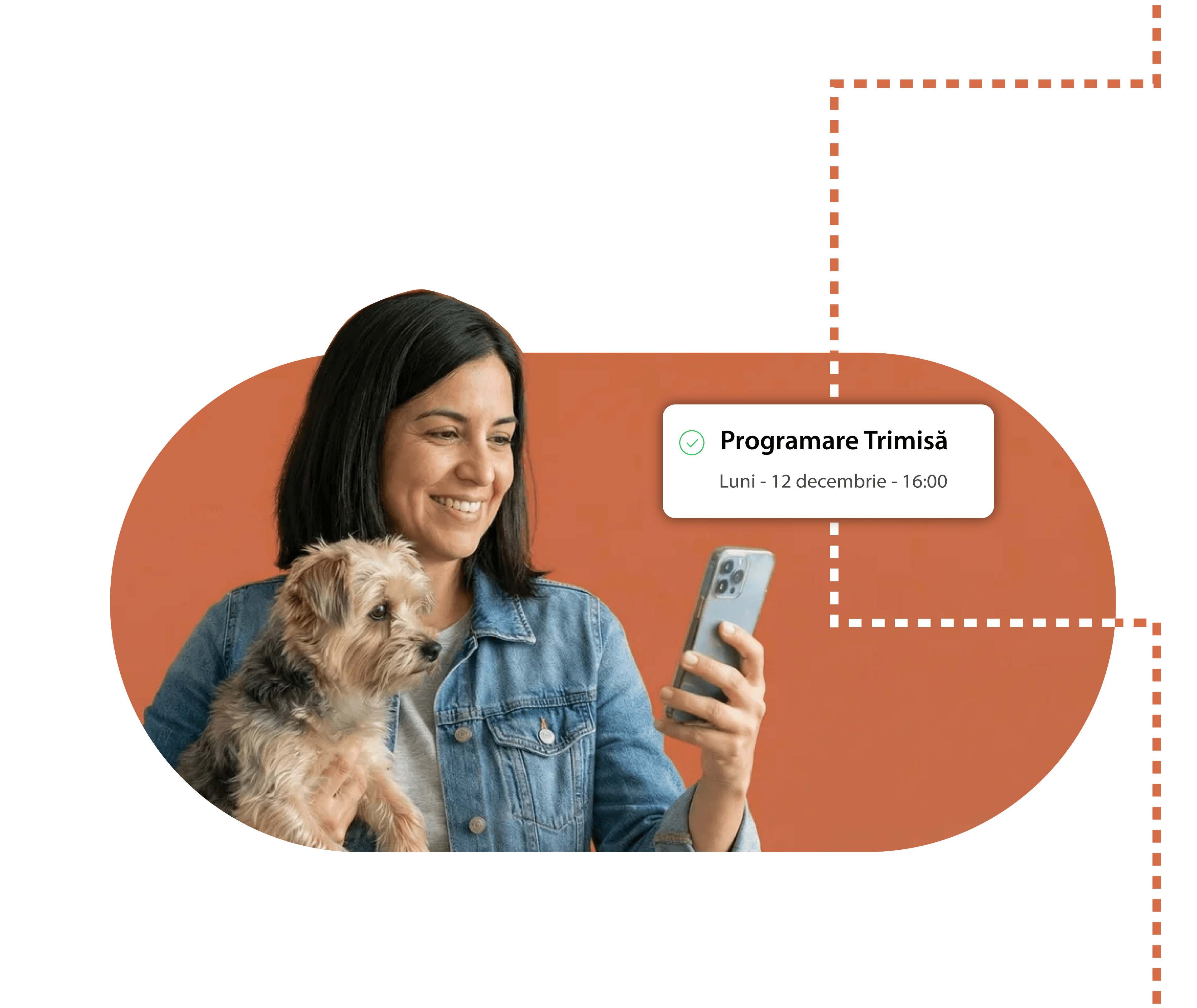 Programare rapidă de pe telefon