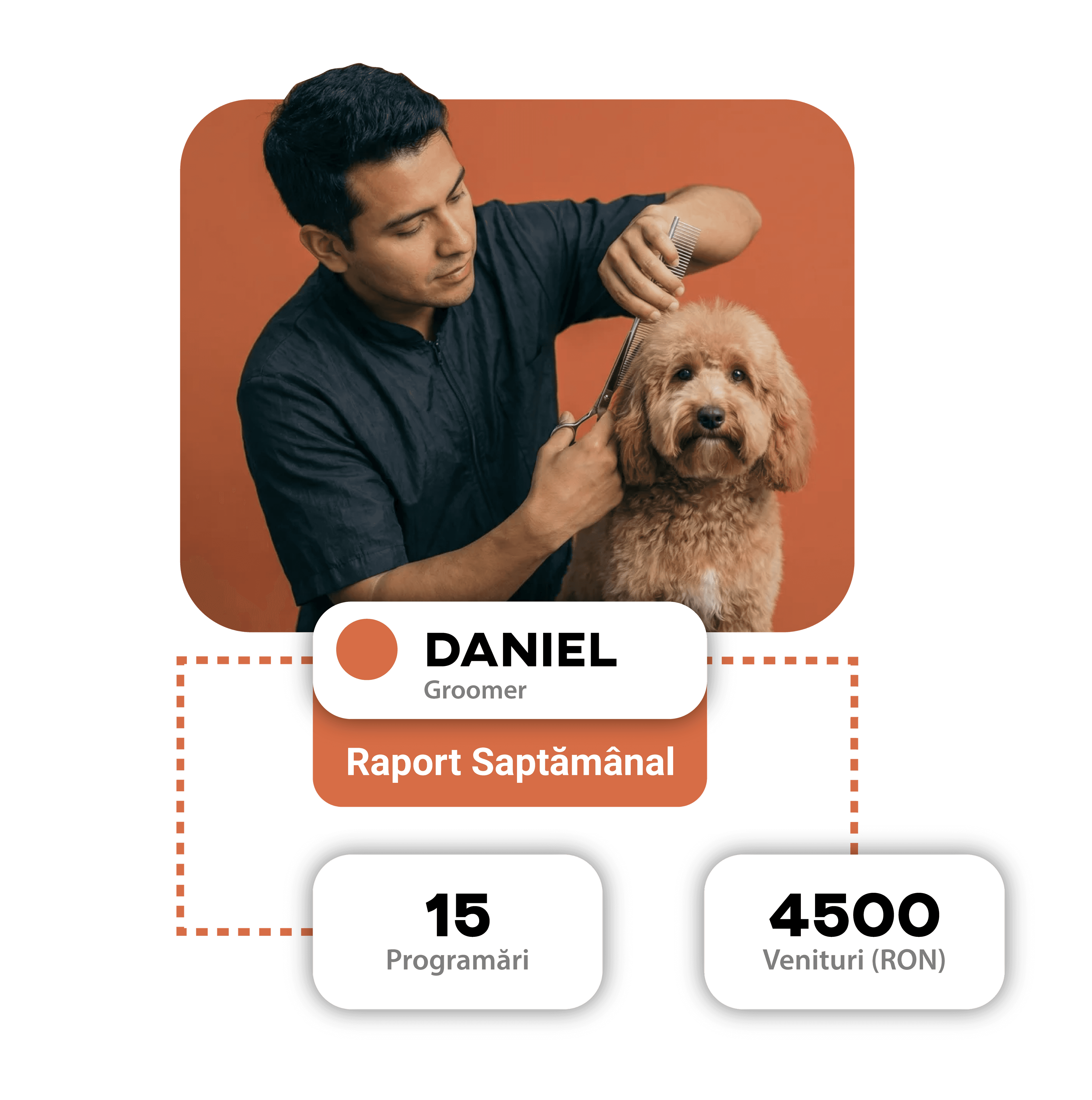 Pet size distribution and most popular breeds