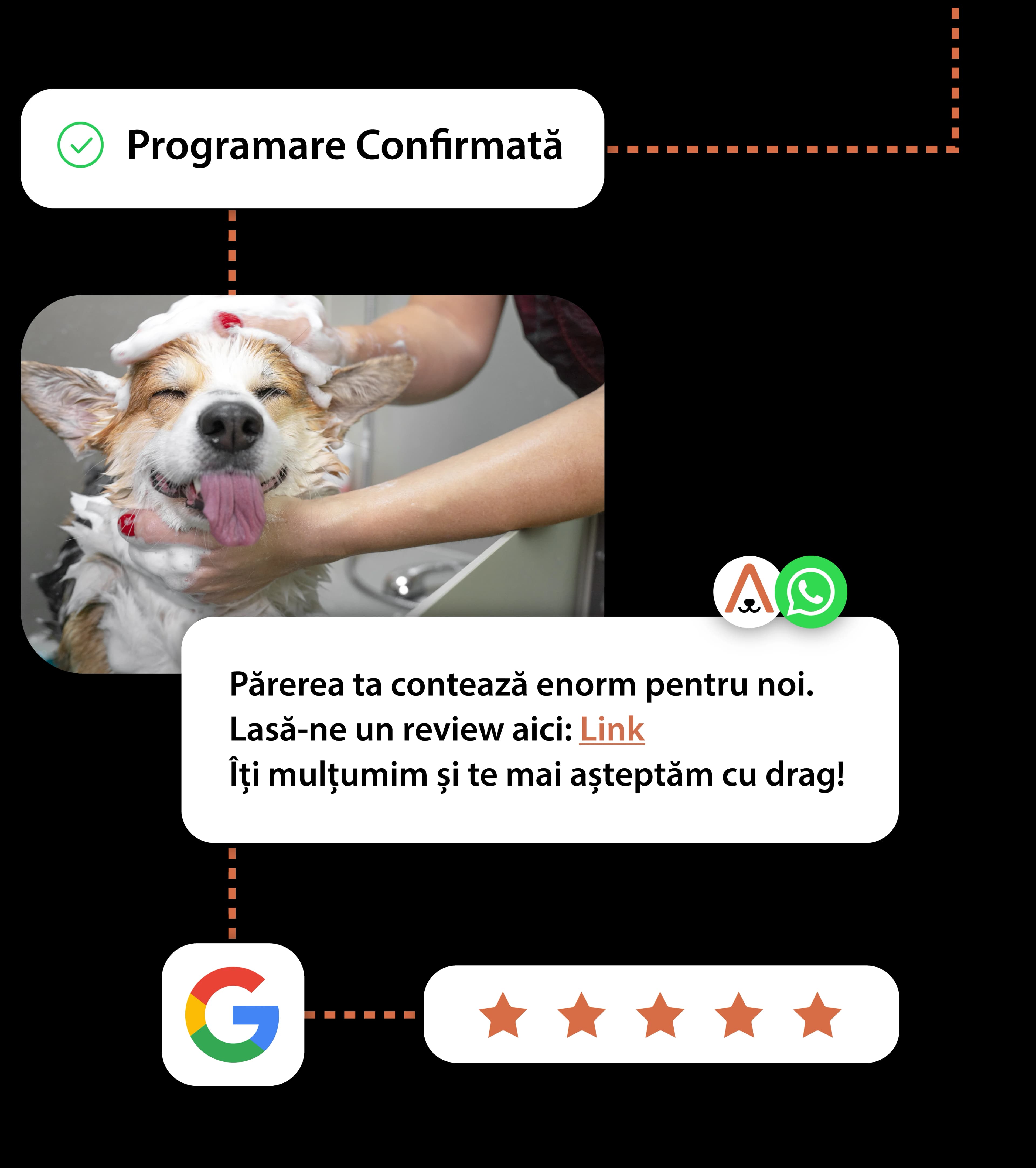 Colectare automată de recenzii