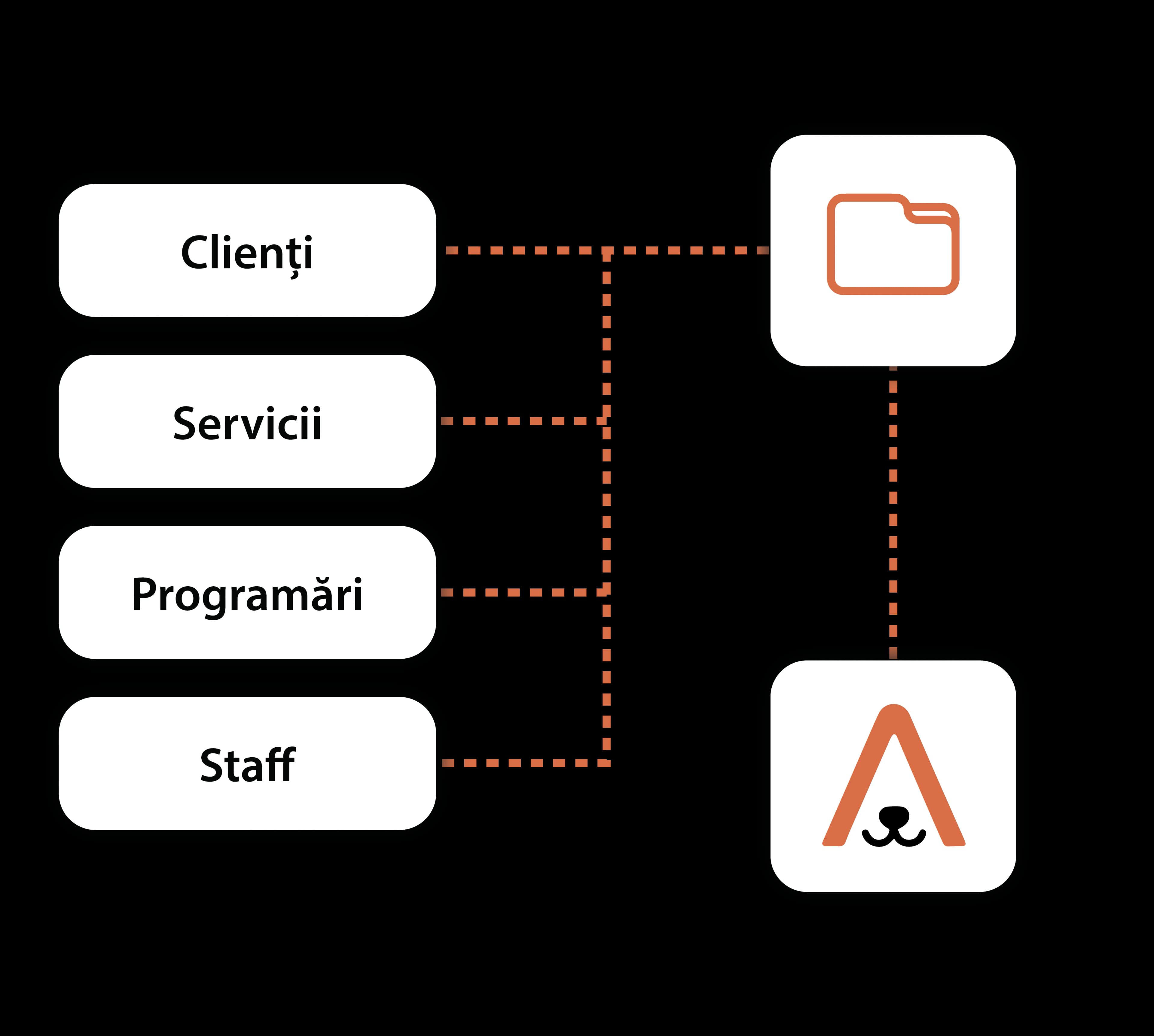 Transfer date: clienți, servicii, programări, staff