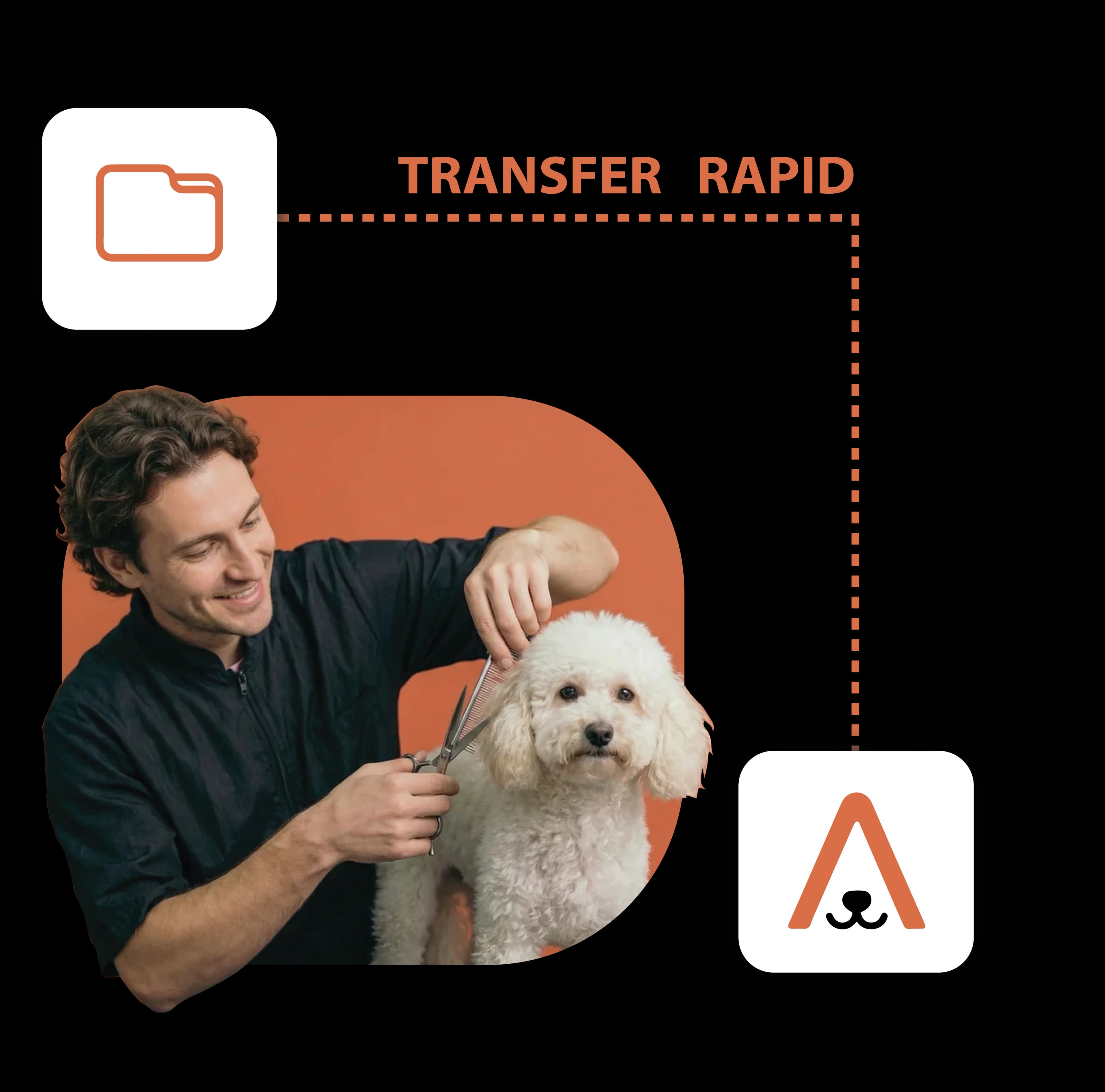 Transfer rapid - activitatea continuă