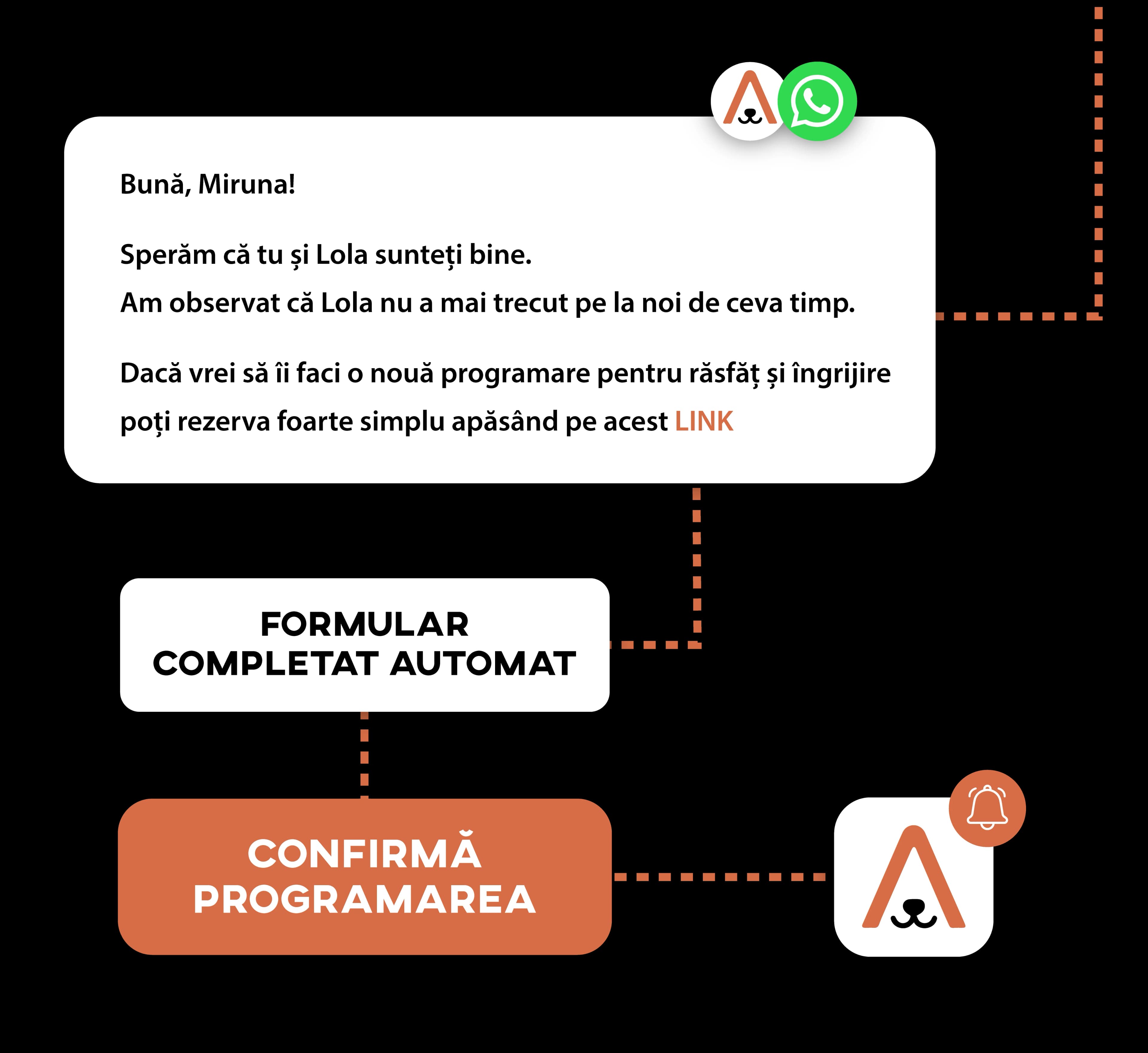 Mesaje WhatsApp automate