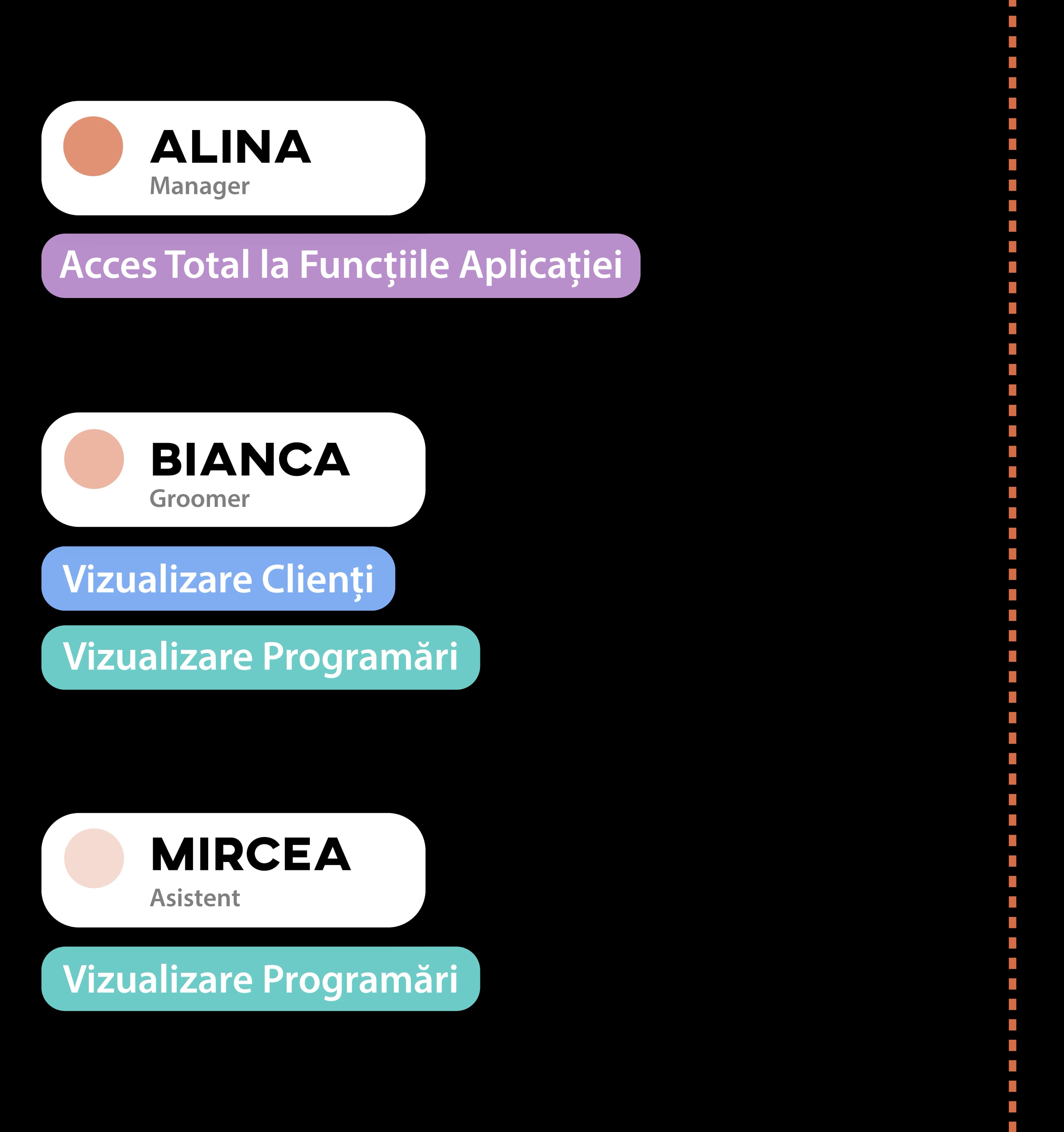 Roluri și permisiuni pentru echipă