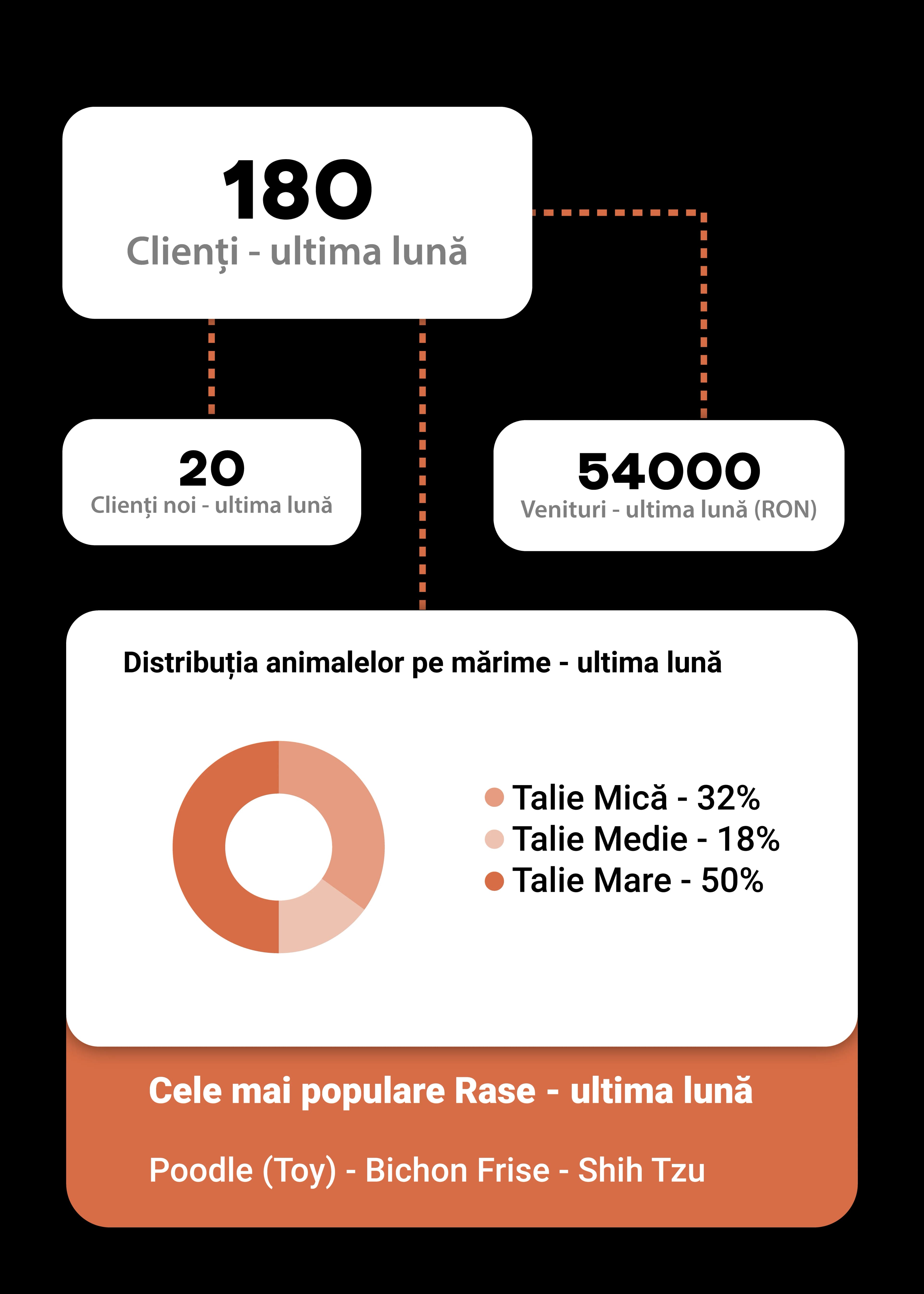 Statistici clienți și venituri
